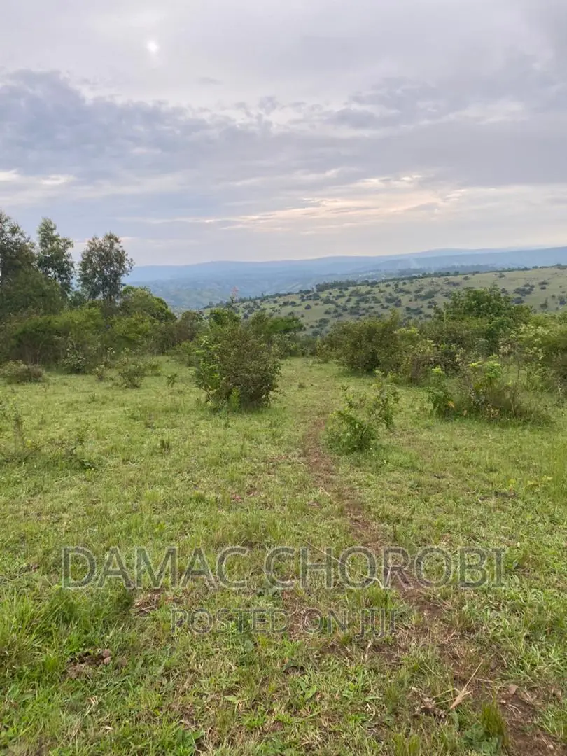 Shamba Linauzwa Kilosa Morogoro