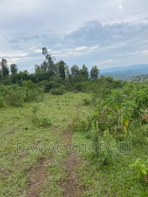 Shamba Linauzwa Kilosa Morogoro