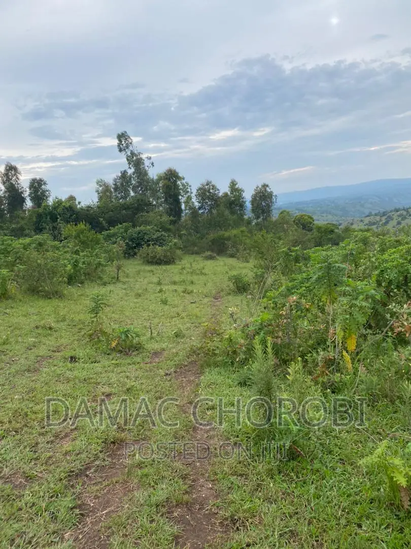 Shamba Linauzwa Kilosa Morogoro