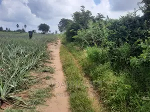 Shamba La Ekari 3 Fukayosi Bagamoyo
