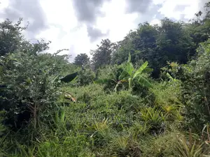 Shamba La Ekari 3 Fukayosi Bagamoyo