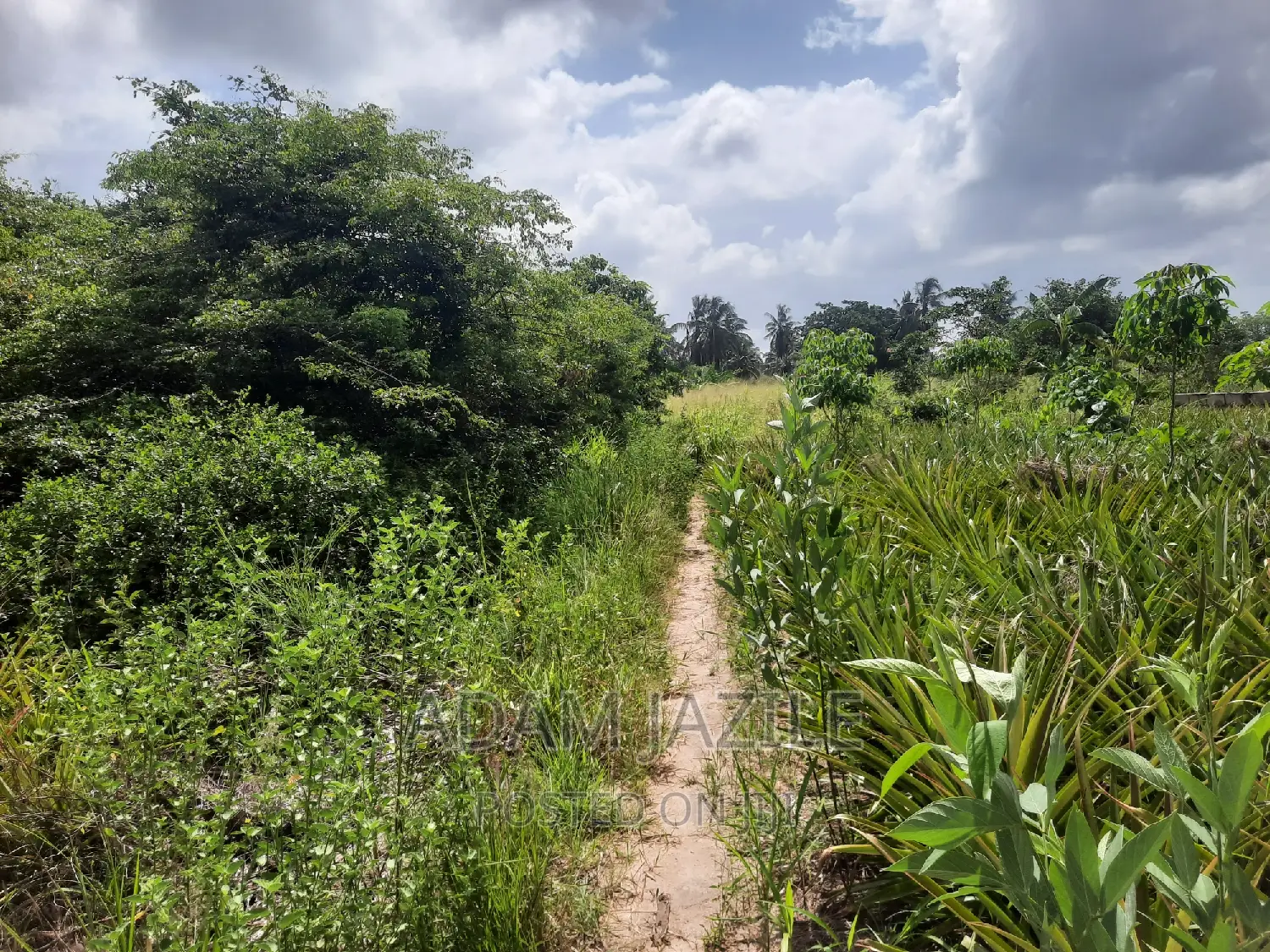 Shamba La Ekari 3 Fukayosi Bagamoyo