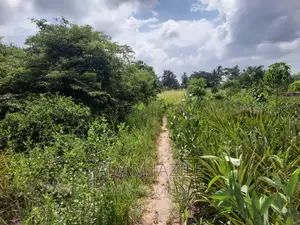 Shamba La Ekari 3 Fukayosi Bagamoyo