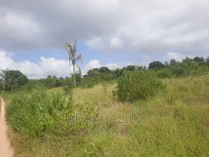 Shamba La Ekari 4 Linauzwa Fukayosi