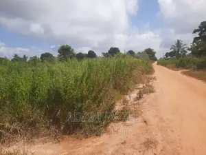 Shamba La Ekari 4 Linauzwa Fukayosi