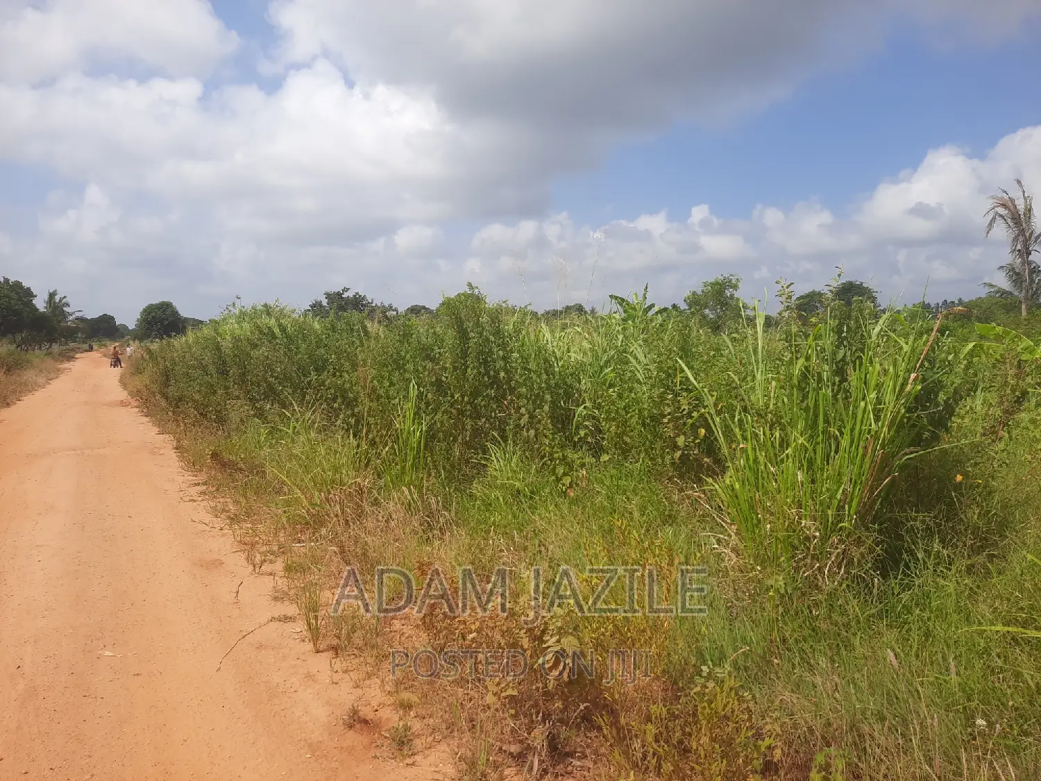 Shamba La Ekari 4 Linauzwa Fukayosi