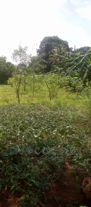 Shamba Linauzwa Mto Wami
