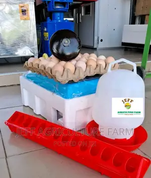 Incubator Ya Mayai 60 Na 112 Zipoo