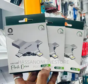 Green Lion 4 in 1 Flash Drive 256GB