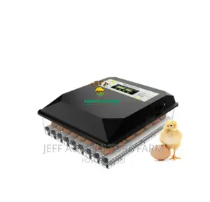 Eggs 60 Super Incubator Favorite Machine
