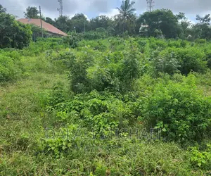 Plot for Sale at Salasala.