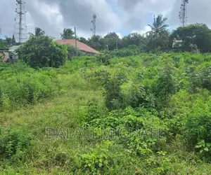 Plot for Sale at Salasala.