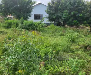 Plot for Sale at Salasala.