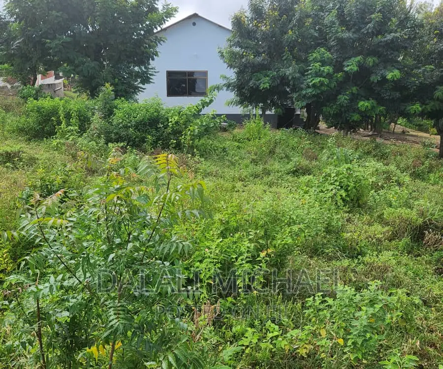 Plot for Sale at Salasala.