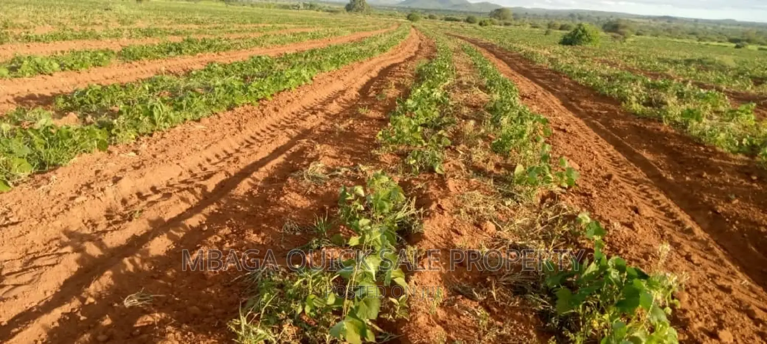 Farm for Sale at Orjoro Simanjiro Manyara Region