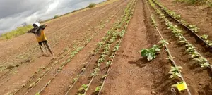 Farm for Sale at Orjoro Simanjiro Manyara Region
