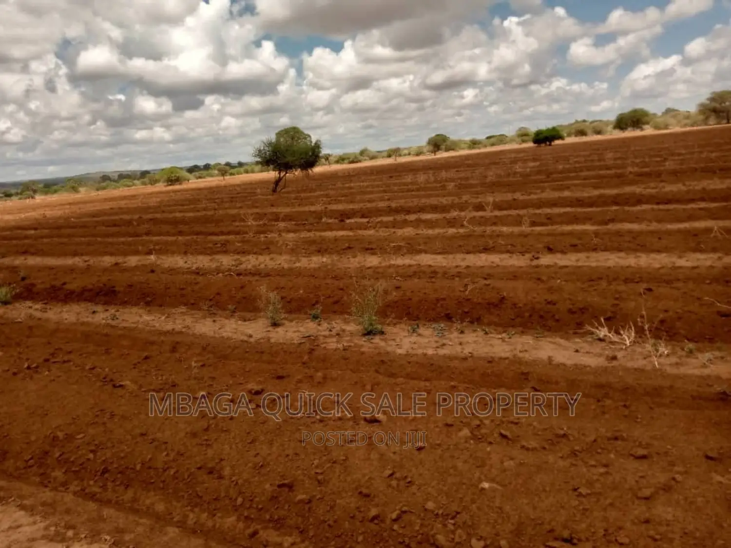 Farm for Sale at Orjoro Simanjiro Manyara Region