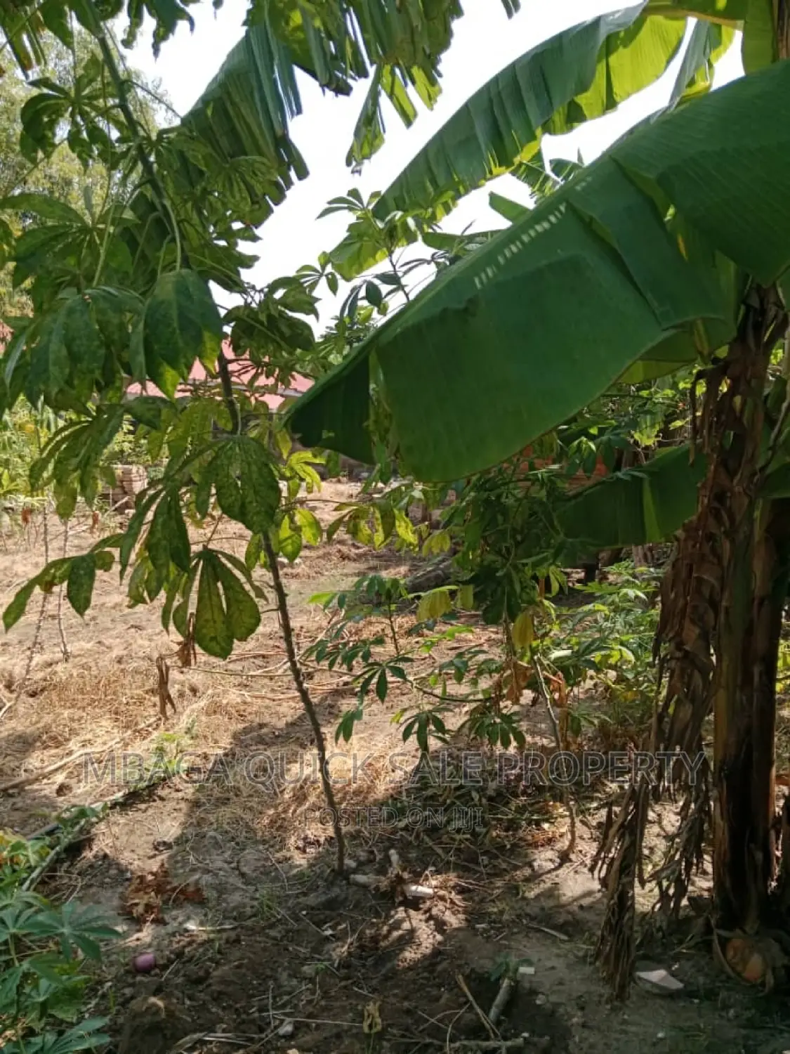 Plot for Sale at Goba Contena