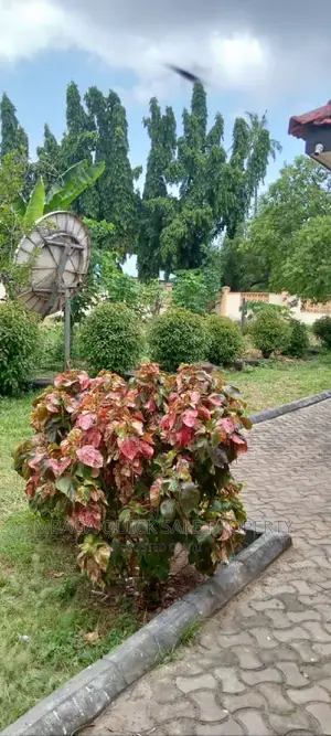 5bdrm House in Ada Estate for rent