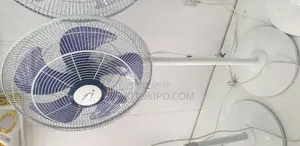 Dolphin Standing Fan 18*