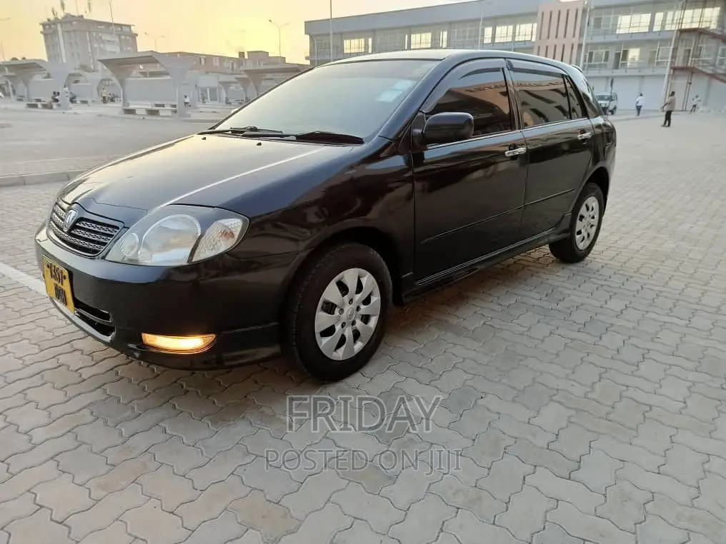Toyota Allex 2004 Black