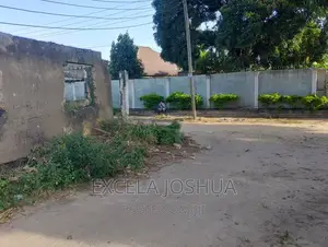 Pagale Linauzwa Na Bank Nzasa a Kilungule, Manipaa Ya Temeke