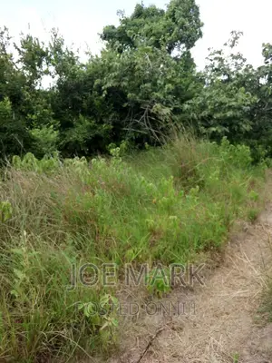 Shamba Linauzwa Mzenga Kisarawe