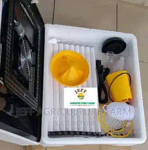 Incubator Machine New Automatic Now Available