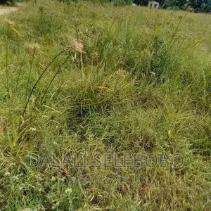 Eneo La Bandari Kavu Chalinze Heka 8 Bilioni 1.5