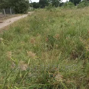 Eneo La Bandari Kavu Chalinze Heka 8 Bilioni 1.5