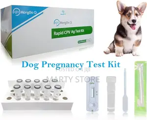 Pregrancy Test Kit