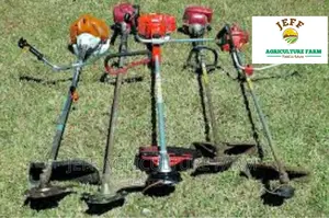 Brush Cutter Available 4 Stroke