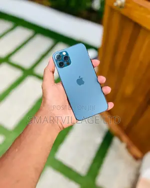 Apple iPhone 12 Pro Max 256 GB Black