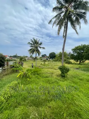 Plot at Bahar Beach