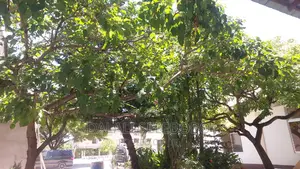 Plot at Bahar Beach