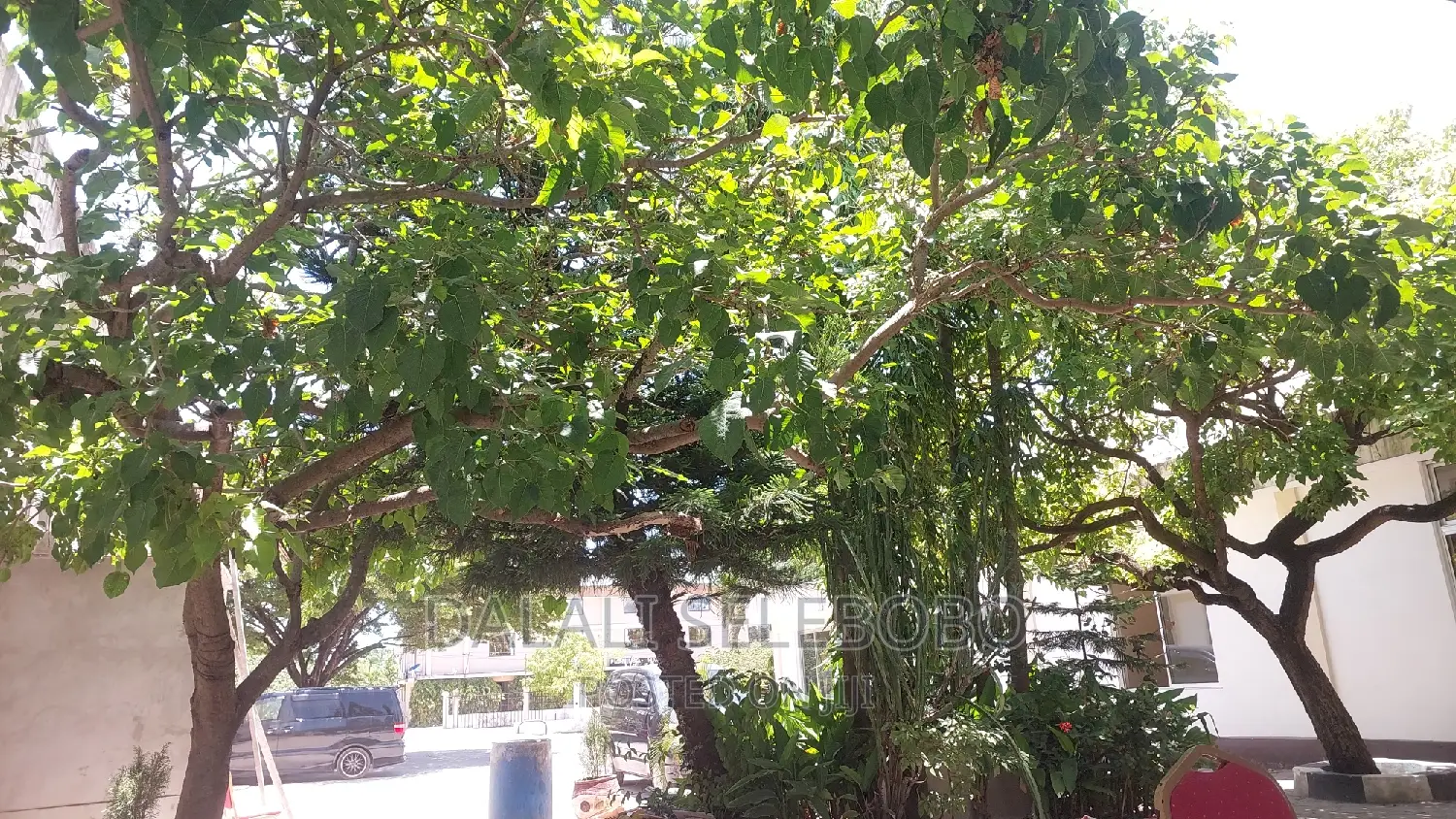 Plot at Bahar Beach