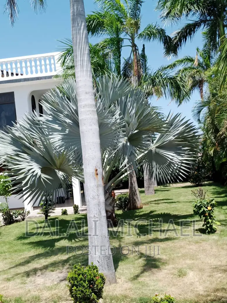 Furnished 6bdrm Bungalow in Baharibeach, Kunduchi for rent