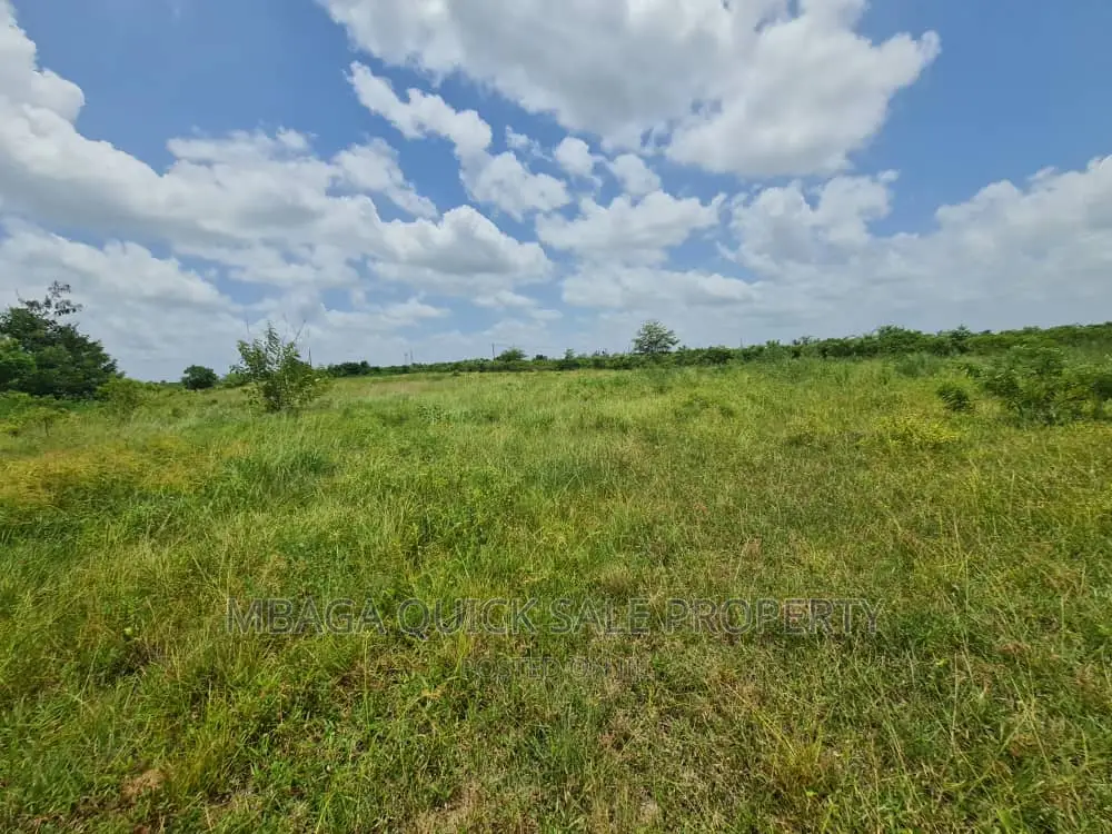 Plot for Sale at Chalinze Chamakweza