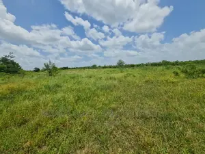 Plot for Sale at Chalinze Chamakweza