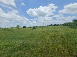 Plot for Sale at Chalinze Chamakweza