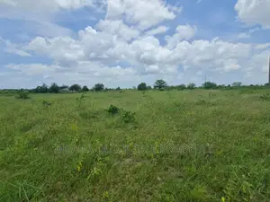 Plot for Sale at Chalinze Chamakweza