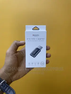 Type C to Type C Adapter