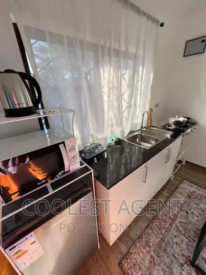Furnished 1bdrm Apartment in Kawebeach, Kinondoni for rent