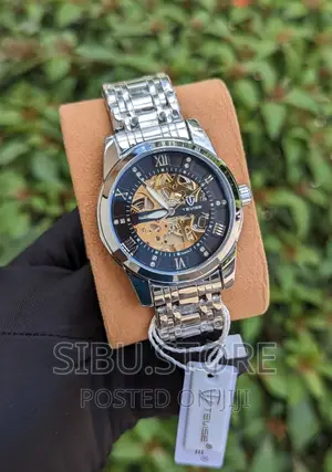 Tevise Mechanical Watch
