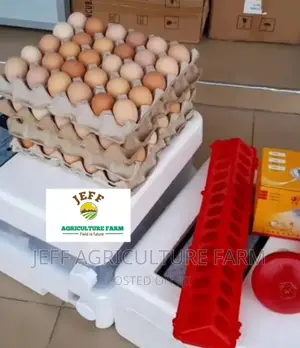 Fully Automatic Incubator Machine 60 Eggs Now