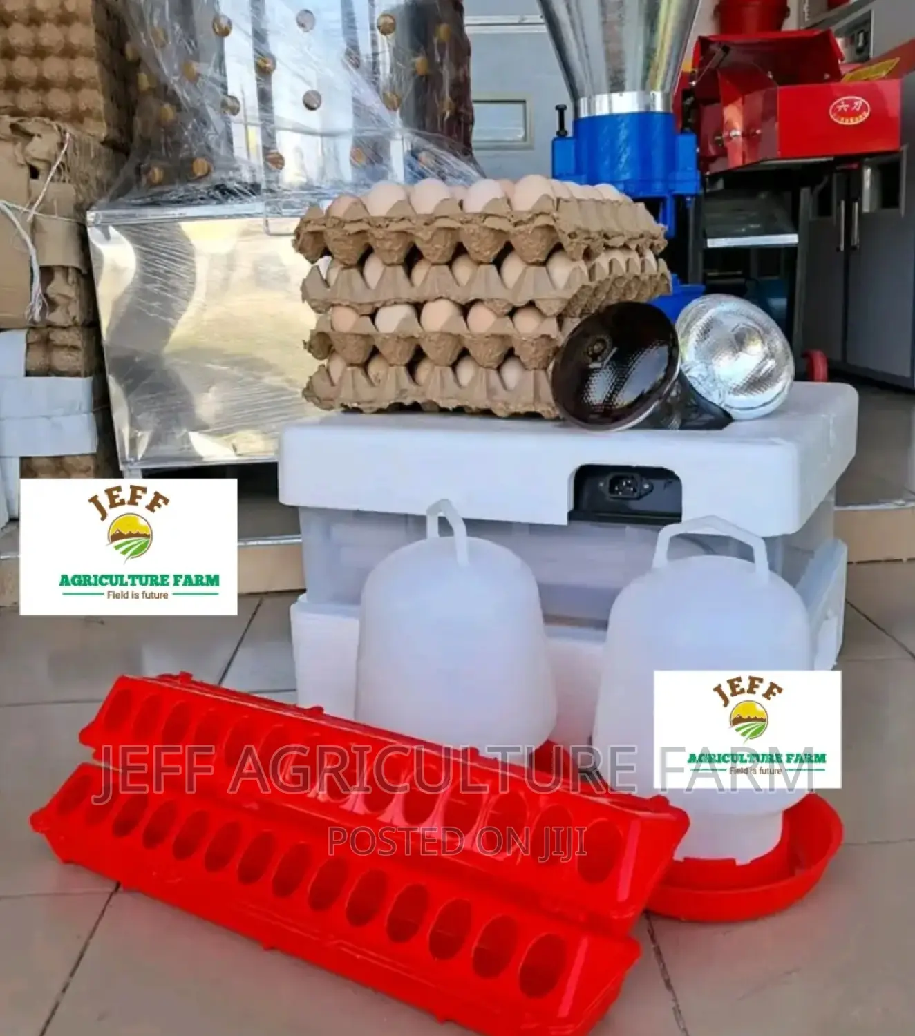 Fully Automatic Incubator Machine 60 Eggs Now
