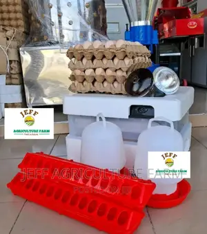 Fully Automatic Incubator Machine 60 Eggs Now