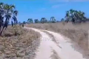 Kigamboni: Ekari 3 Zilizopimwa Zinauzwa Bei Poa - Dar