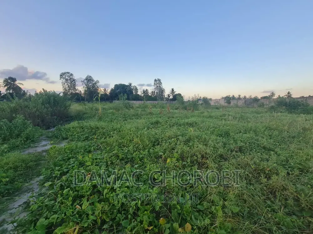 Yard for Sale Loction Mbande Dar Es Salaam