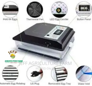 Automatic Incubator Ya Mayai 30